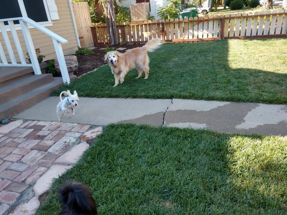 House with back yard