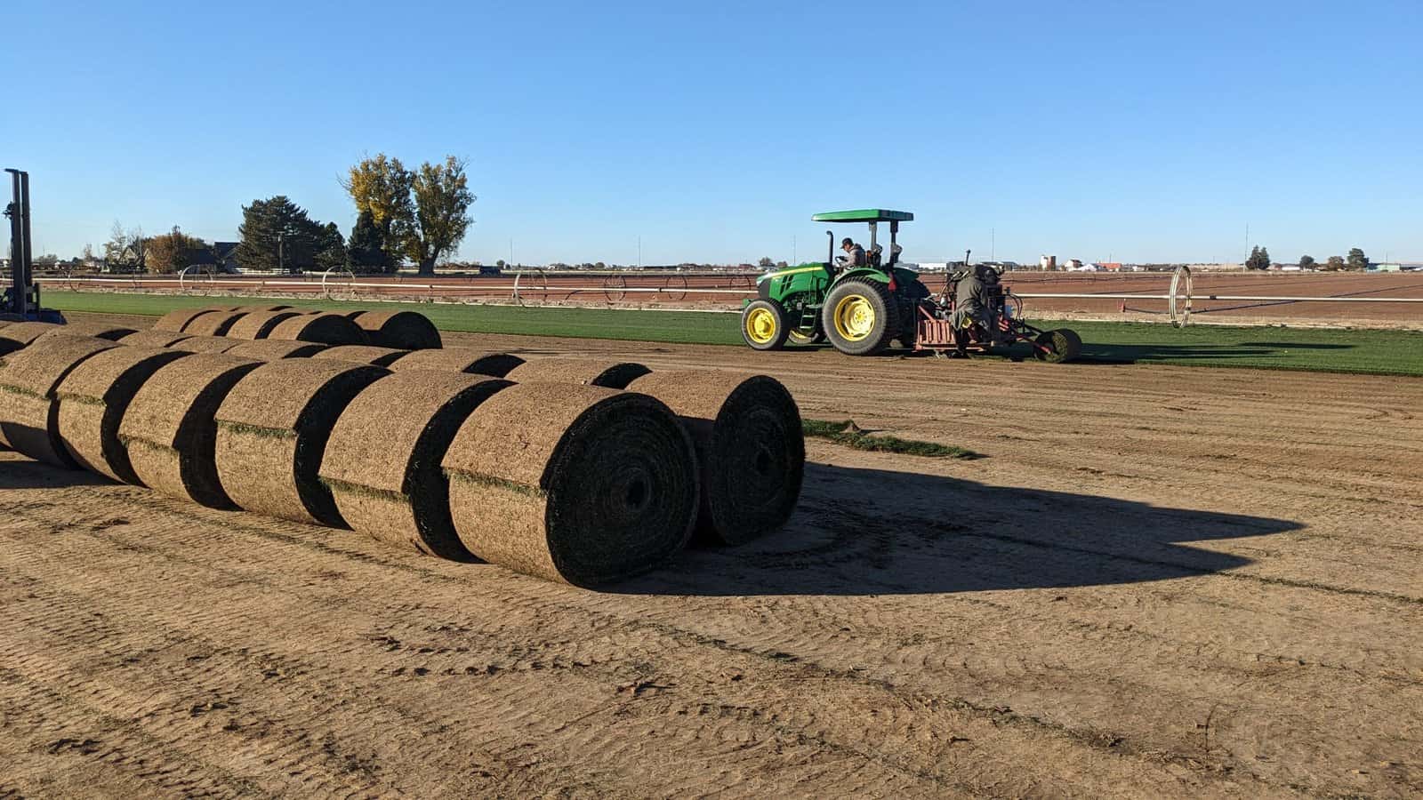 Big Rolls in the field