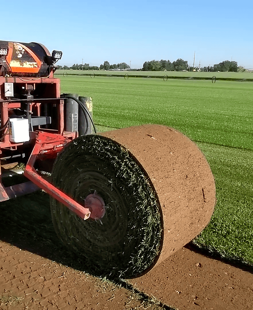 Cutting RTF Big Rolls