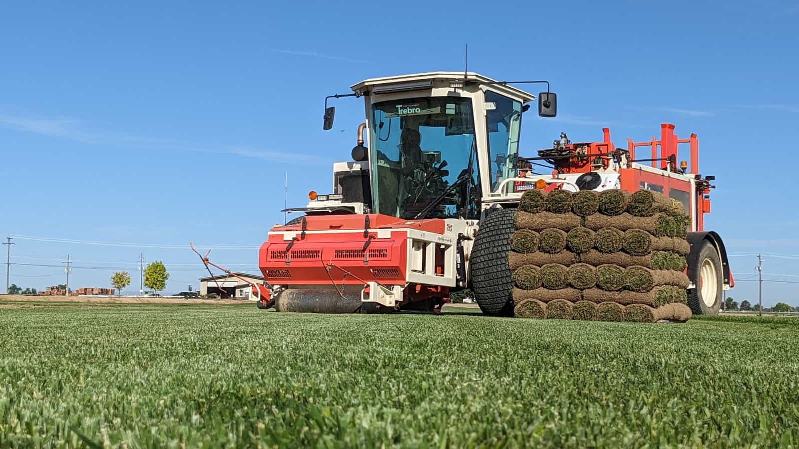 Sod Harvester on Tall Fescue