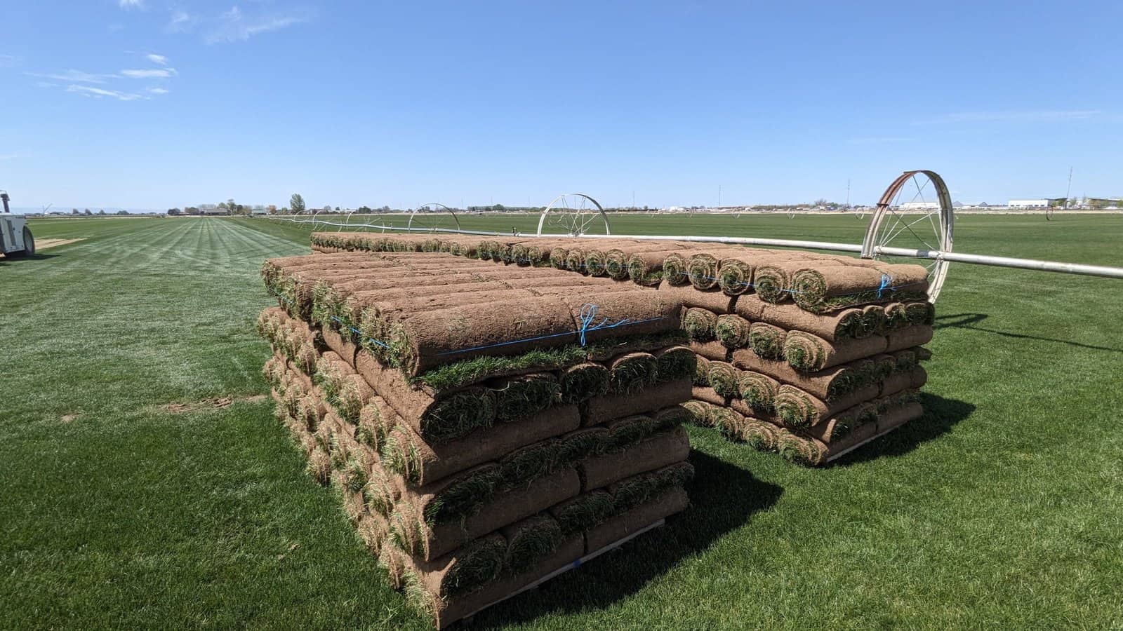 Kentucky Bluegrass Sod Pallets