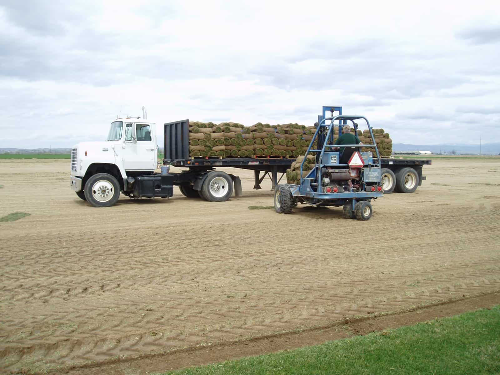 Load of sod loaded on semi