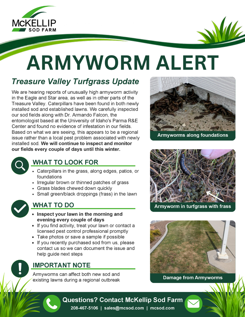 Armyworm Alert Preview